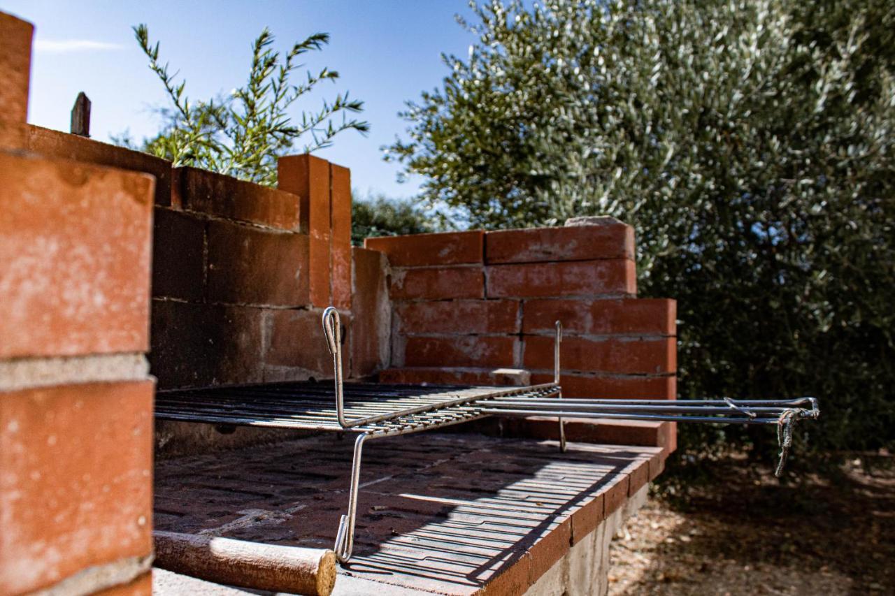 Corte Dell'Ulivo San Giuliano Terme Exterior foto